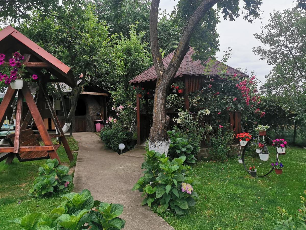 Casa Lidia Hotel Rîu de Mori Exterior foto