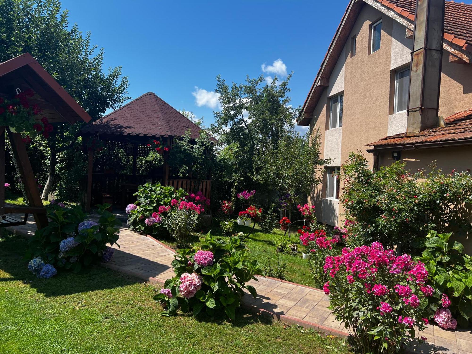 Casa Lidia Hotel Rîu de Mori Exterior foto